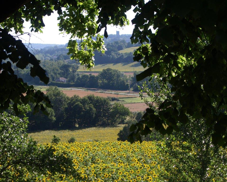 sunflowers french villa lot valley